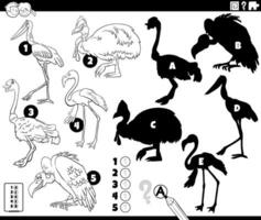 shadows game with cartoon birds characters coloring page vector