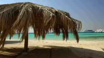 Straw beach umbrellas at a tropical resort video