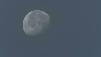 Full moon - long shot video