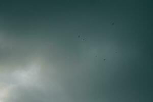 cloudy, threatening sky with birds. Minimalism and aesthetics for the background photo