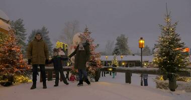 Mom, dad and son in the park decorated with Christmas lights video