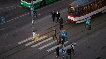 peatones cruce el la carretera en verde ligero video