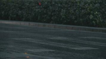 People crossing road under the rain video