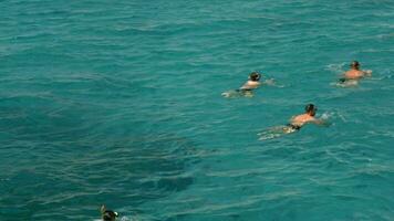 grupo de personas nadando en el abierto mar video