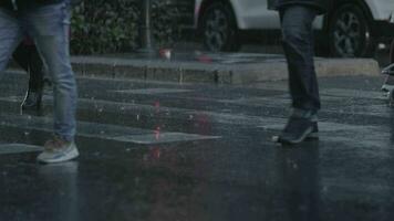 personas tráfico en paso de peatones debajo el lluvia video