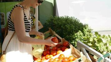 joven mujer compras para Fresco vegetales video