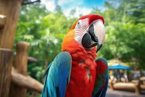 A Colorful Macaw parrot against jungle background. Generate Ai photo