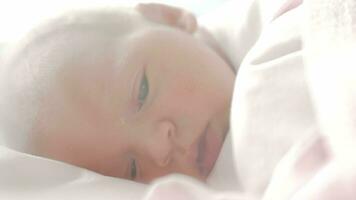 Newborn baby with blue eyes falling asleep video