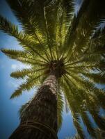 a view up at a palm tree with a blue sky in the background. generative ai. photo