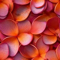 a close up of a bunch of orange flowers with a pink center. generative ai. photo