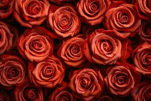 Pattern of red roses. Genaretive Ai photo