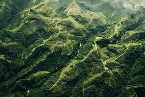 Coffee plantations of South America with a skyline with mountains in the background ,Generative AI photo