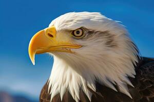 americano calvo águila con azul cielo. águila. generativo ai foto