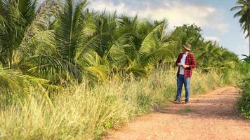 Young Asian farmer using tablet and checking his coconut. Technology for Smart farmer concept. photo