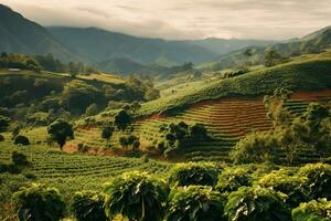 café plantaciones de sur America con un horizonte con montañas en el antecedentes ,generativo ai foto