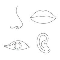 Parts of the face eye, lips, nose, ear drawn in one continuous line. One line drawing, minimalism. Vector illustration.