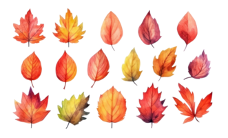 Ai, Ai generated, Vibrant isolated watercolor autumn leaves isolated, fall design element png