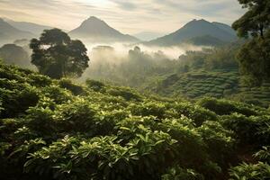 café plantaciones de sur America con un horizonte con montañas en el antecedentes ,generativo ai foto