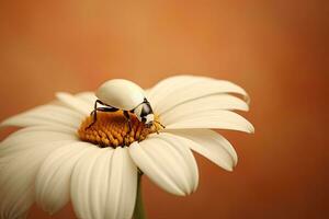 marienkafer , flor , Copiar espacio ,generativo ai foto