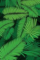 background of vectorized plants in vertical format, green tones vector