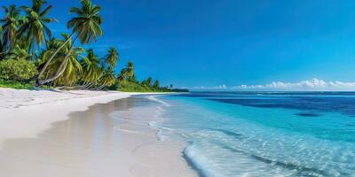 Beautiful beach banner. White sand and coco palms travel tourism  ,blue sky  , Generative AI photo