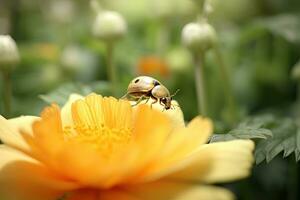 marienkafer , flor , Copiar espacio ,generativo ai foto