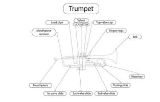 línea dibujo de trompeta, máquina componentes latón musical instrumentos vector