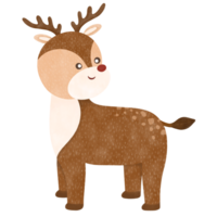 Reindeer cartoon illustration png