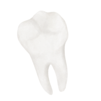 dia das Bruxas dente desenho animado png