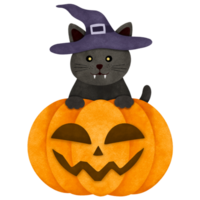 Halloween cute black cat cartoon characters png