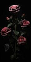 Spellbinding closeup portrait of roses, eternal melancholy, AI Generated photo