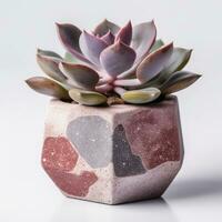 Graptoveria in a terracotta hexagonal pot with a speckled pattern in shades of purple AI Generated photo