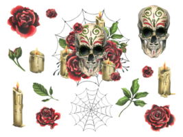 Ornamented human skull with red roses, candles and cobwebs. Hand drawn watercolor illustration for day of the dead, halloween, Dia de los muertos. Set of isolated elements png