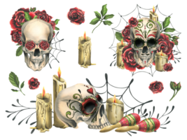 Ornamented human skulls with red roses, candles, maracas and cobwebs. Hand drawn watercolor illustration for day of the dead, halloween, Dia de los muertos. Set of elements png