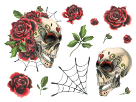 Ornamented human skull with red roses and cobwebs. Hand drawn watercolor illustration for day of the dead, halloween, Dia de los muertos. Set of isolated elements png