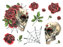 adornado humano cráneo con rojo rosas y telarañas mano dibujado acuarela ilustración para día de el muerto, Víspera de Todos los Santos, dia Delaware los muertos. conjunto de aislado elementos png