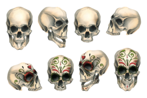 Human skulls front side view with colored ornaments and without. Hand drawn watercolor illustration for Halloween, day of the dead, Dia de los muertos. Set of isolated objects png