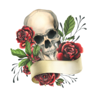 Human skull with ribbon for text, red rose flowers and leaves. Hand drawn watercolor illustration for Halloween, day of the dead, Dia de los muertos. Isolated composition png