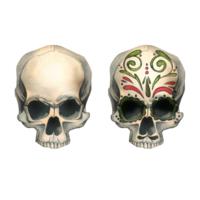 umano teschi davanti Visualizza con colorato ornamenti e senza. mano disegnato acquerello illustrazione per Halloween, giorno di il morto, dia de los muertos. impostato di isolato oggetti png