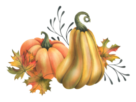 Orange autumn pumpkins with maple leaves and twigs. Watercolor illustration, hand drawn. Isolated composition png
