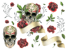 Human skull with hand drawn ornament with ribbon for text, red roses. Hand drawn watercolor illustration for Halloween, day of the dead, Dia de los muertos. Set of elements png