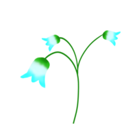 azul campanilla de febrero flor png