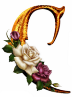 Golden roses letter C png