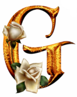 golden Rosen Brief G png