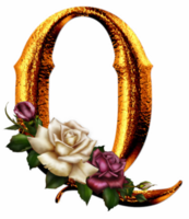 dourado rosas carta q png