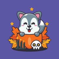 cute wolf in halloween pumpkin. Cute halloween cartoon illustration. vector