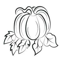 Printable Pumpkin Coloring Pages For Kids vector