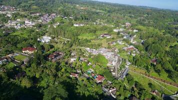ferme drone images, étourdissant Indonésie nature, enchanteur la nature et ferme félicité video