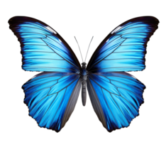 papillon png le bleu papillon png papillon transparent Contexte ai généré