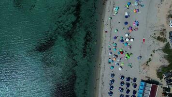 aéreo topo baixa Visão do rena majori de praia dentro Sardenha video